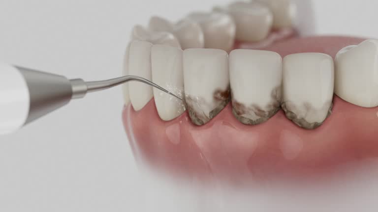 Reliable Dental contractor in Germantown Hills, IL by Dentist Open Now